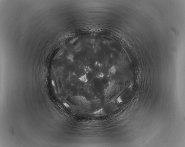 X0000112900643200909111525