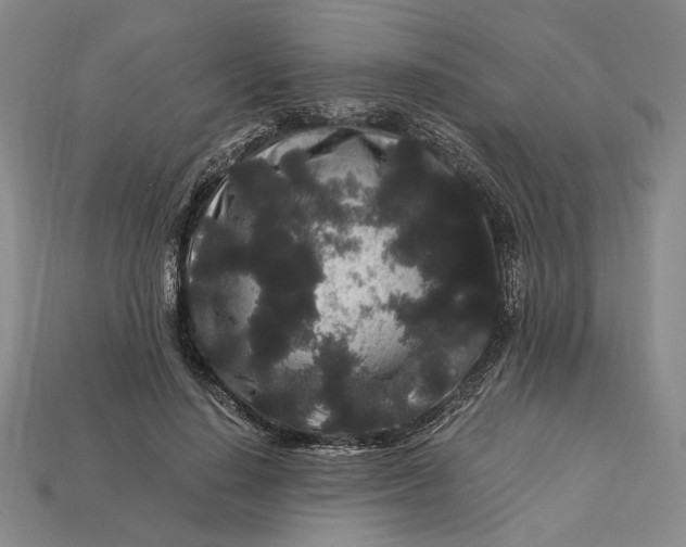 X0000112900644200909111525