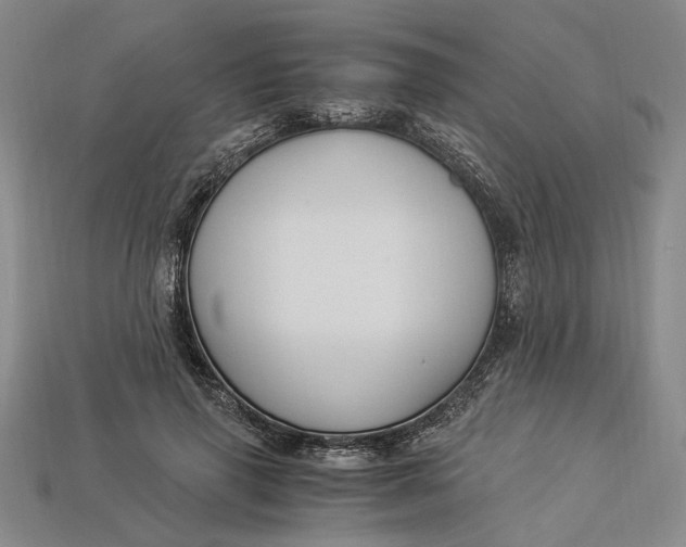 X0000112900645200909111525