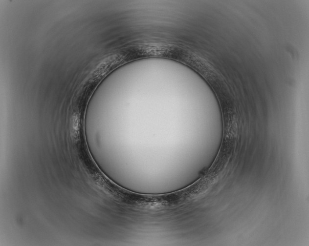 X0000112900646200909111525