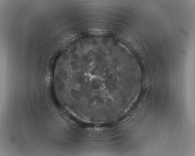 X0000112900647200909111525