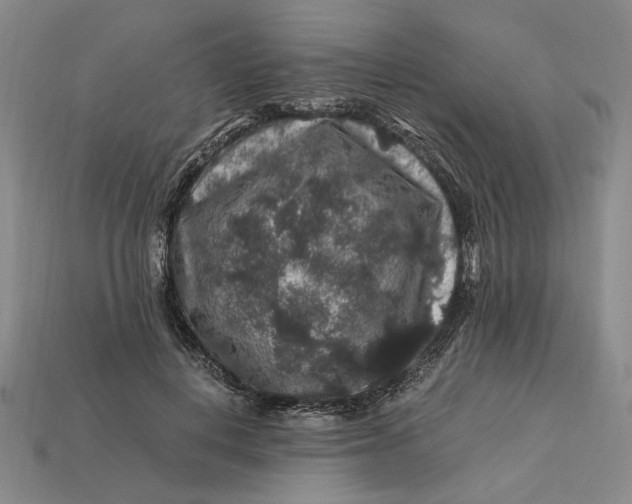 X0000112900648200909111525