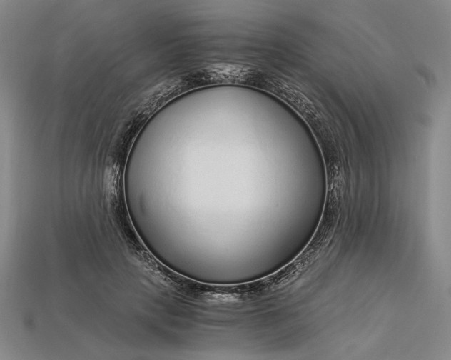 X0000112900649200909111525