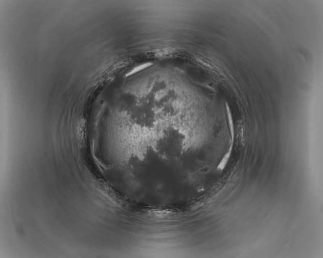 X0000112900650200909111525