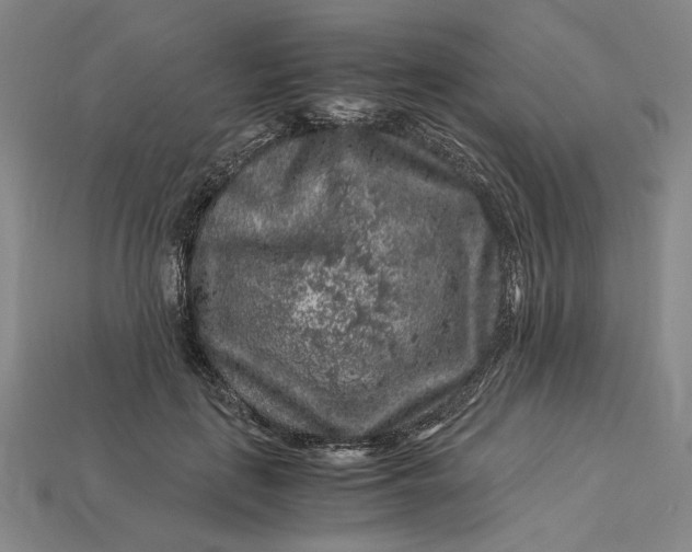 X0000112900651200909111525