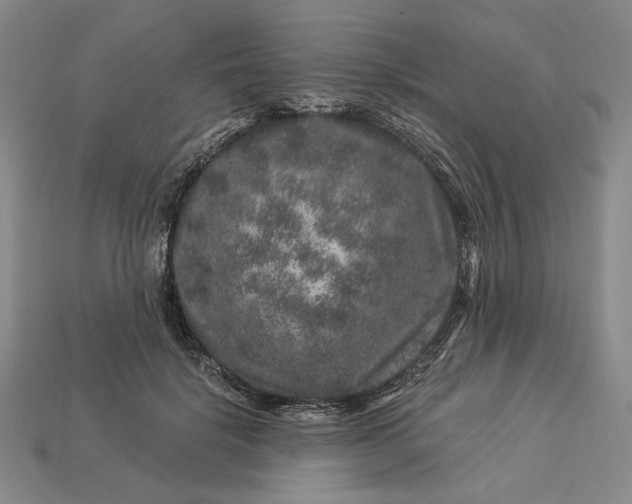 X0000112900652200909111525