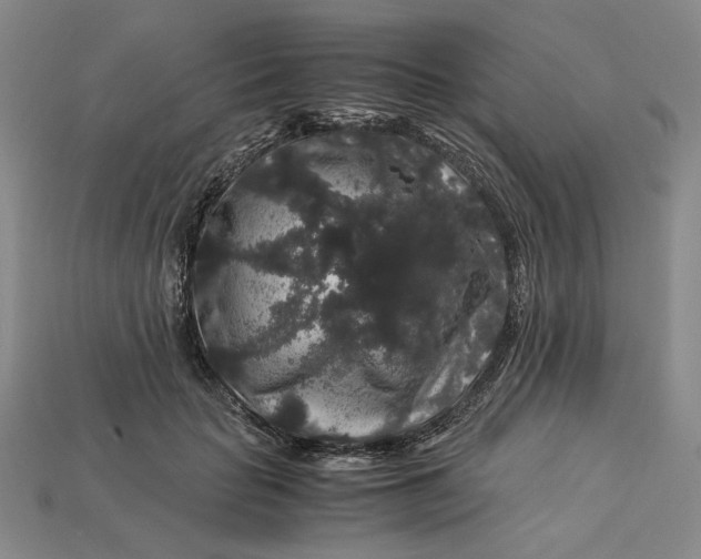 X0000112900653200909111525