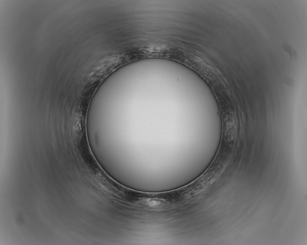 X0000112900654200909111525