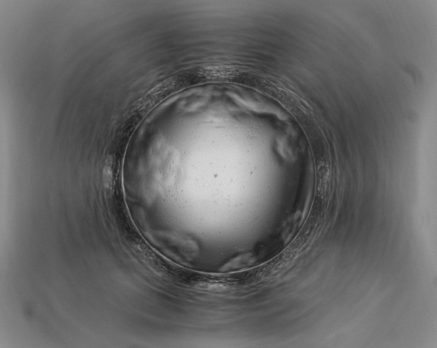 X0000112900655200909111525