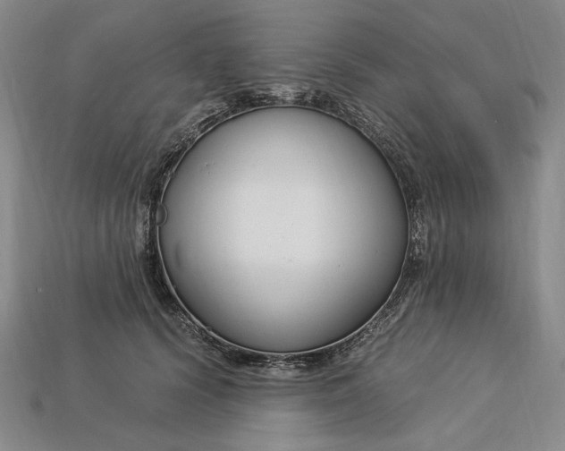 X0000112900656200909111525