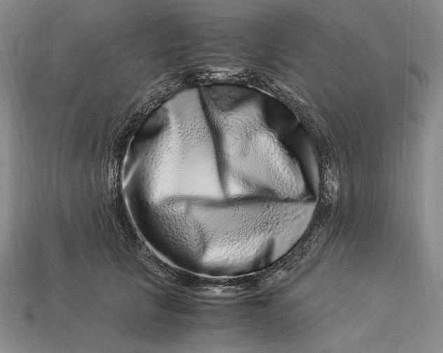 X0000112900657200909111525