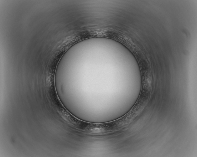 X0000112900658200909111526
