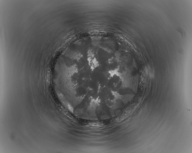X0000112900659200909111526