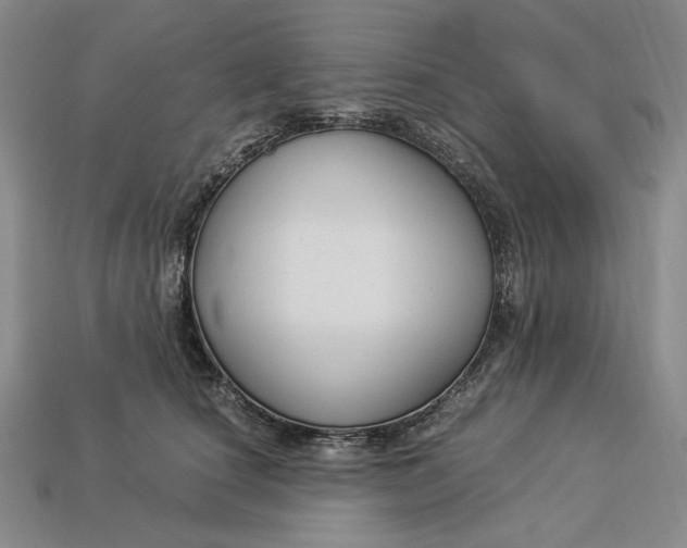 X0000112900660200909111526