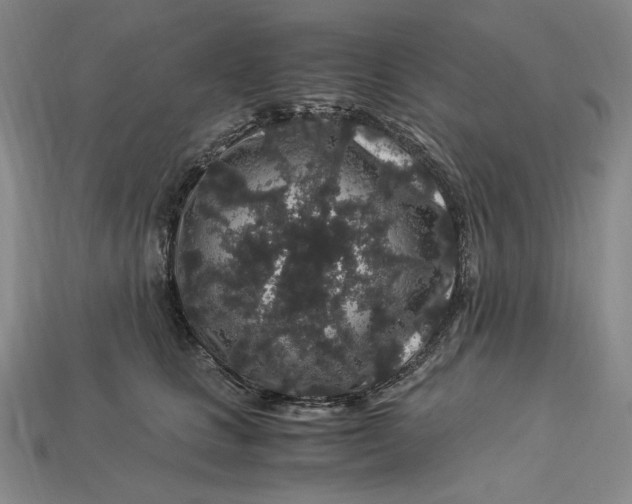 X0000112900661200909111526