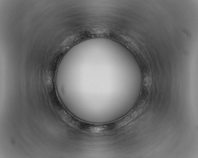 X0000112900662200909111526