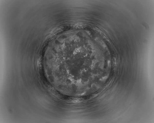 X0000112900663200909111526