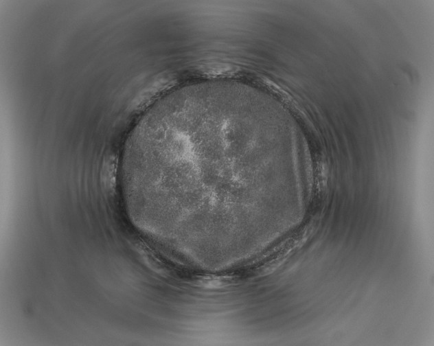 X0000112900664200909111526