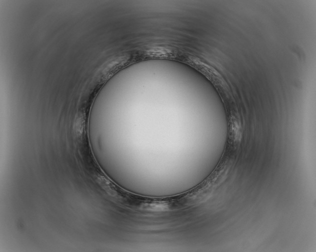 X0000112900665200909111526