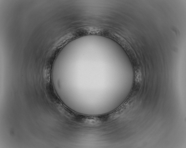 X0000112900666200909111526