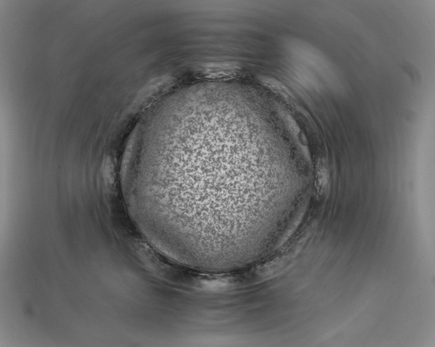 X0000112900667200909111526