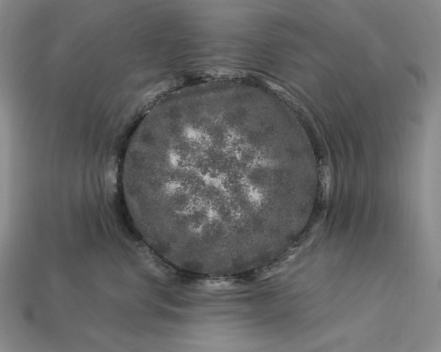 X0000112900668200909111526