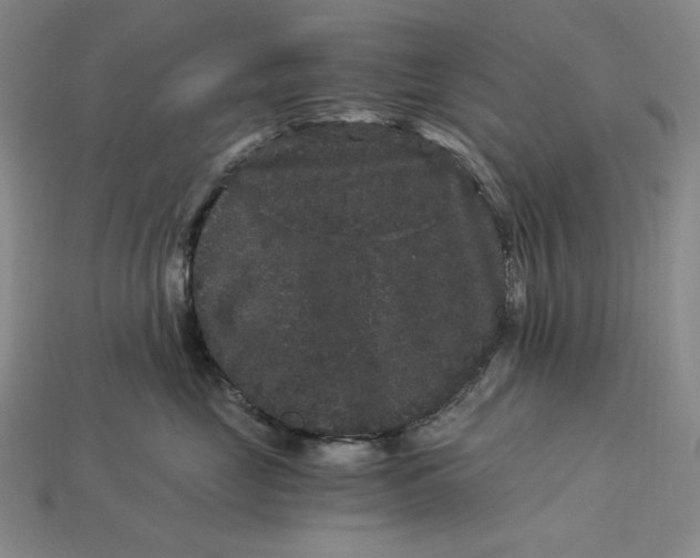 X0000112900669200909111526