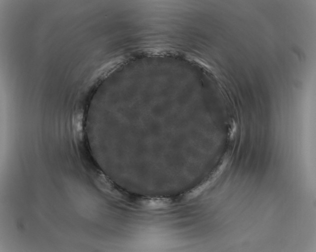 X0000112900670200909111526