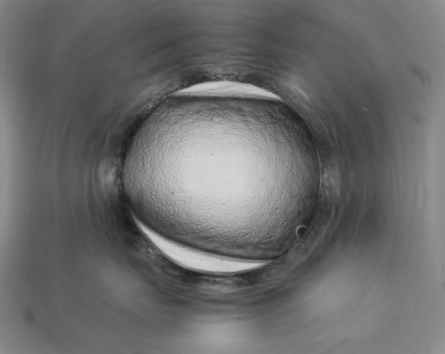 X0000112900671200909111526