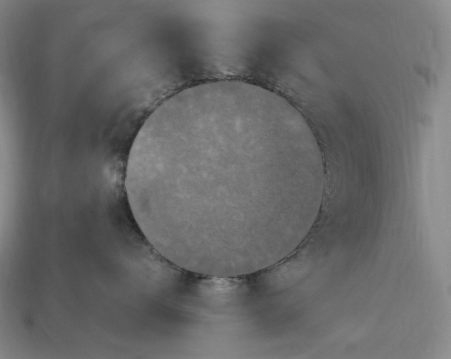 X0000112900672200909111526