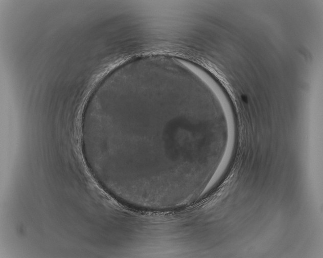 X0000112900673200909111525