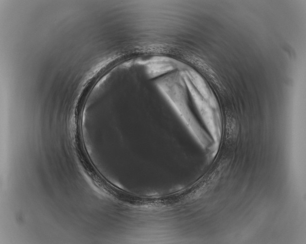 X0000112900674200909111525