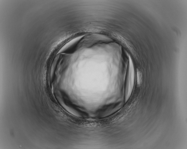X0000112900675200909111525