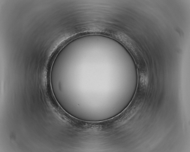 X0000112900676200909111525