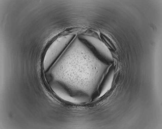 X0000112900677200909111525