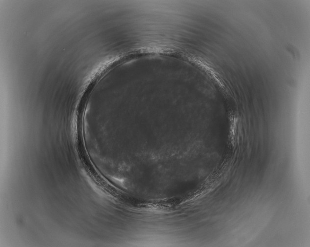 X0000112900678200909111525