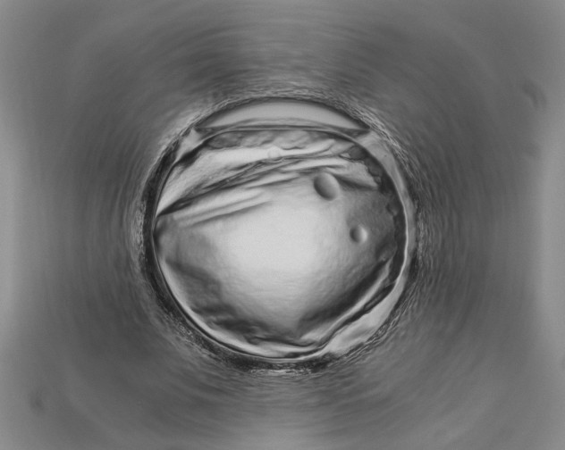 X0000112900679200909111525