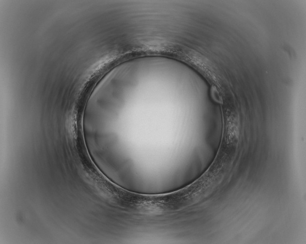 X0000112900680200909111525