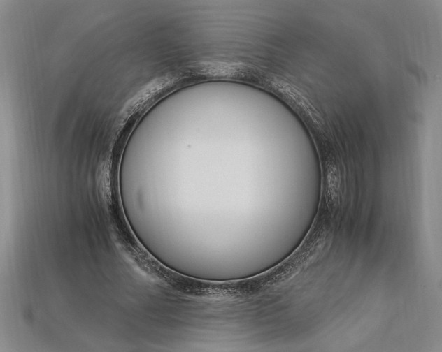 X0000112900682200909111525