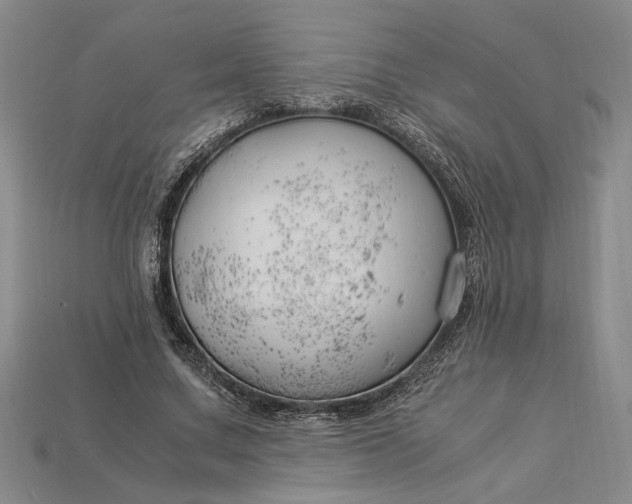 X0000112900683200909111525