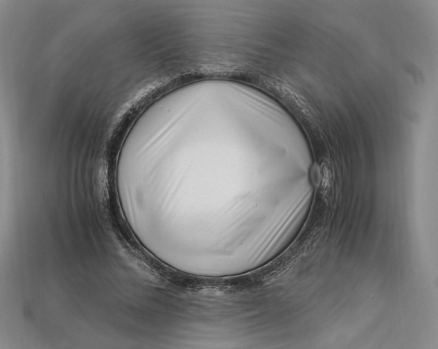 X0000112900684200909111525