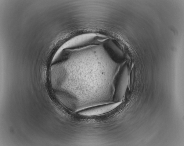 X0000112900685200909111525