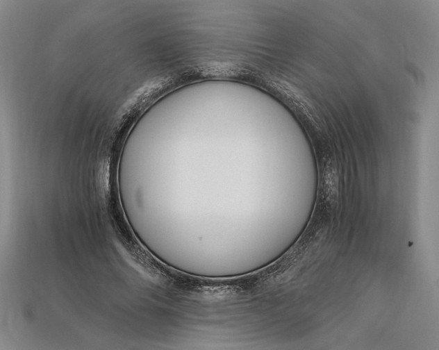 X0000112900686200909111525