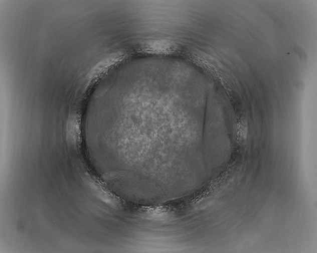 X0000112900688200909111525