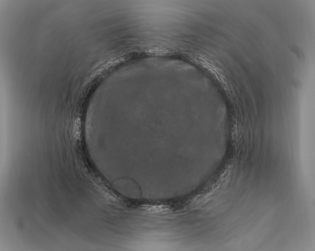 X0000112900689200909111525
