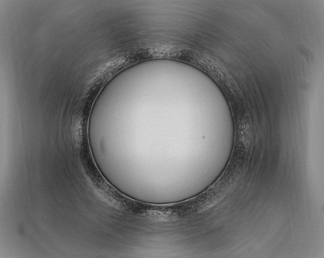 X0000112900690200909111525