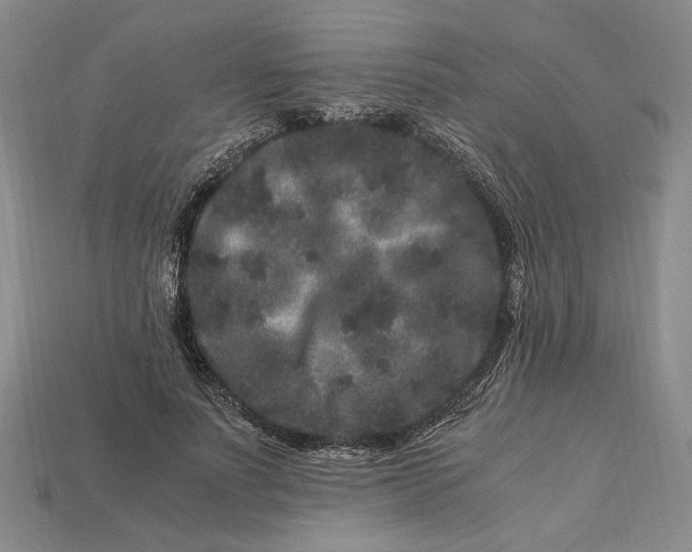 X0000112900691200909111525