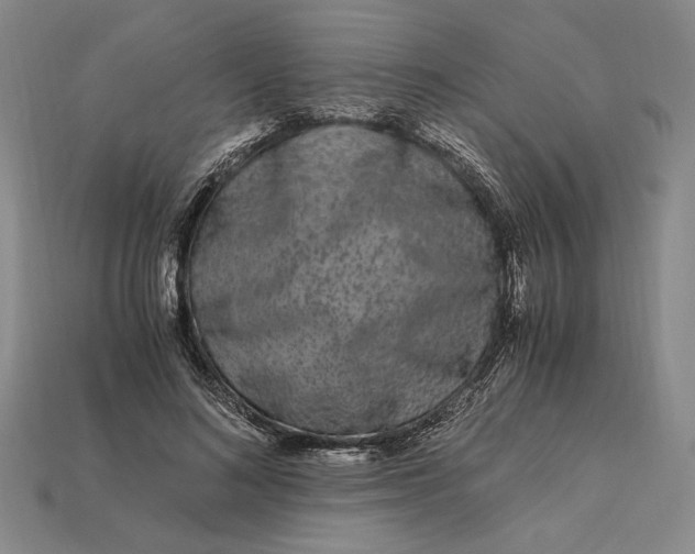 X0000112900692200909111525