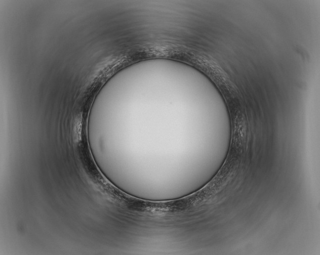 X0000112900694200909111525