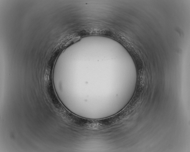 X0000112900695200909111525